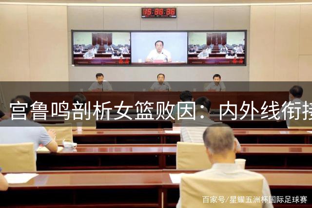 宫鲁鸣剖析女篮败因：内外线衔接成关键短板