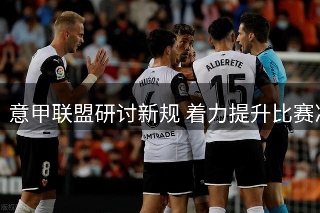 意甲联盟研讨新规 着力提升比赛净时长