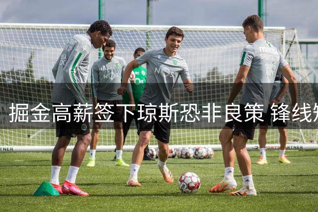 掘金高薪签下琼斯恐非良策 锋线短板亟待补强