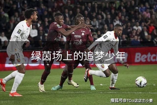 绿茵场上的追梦少年